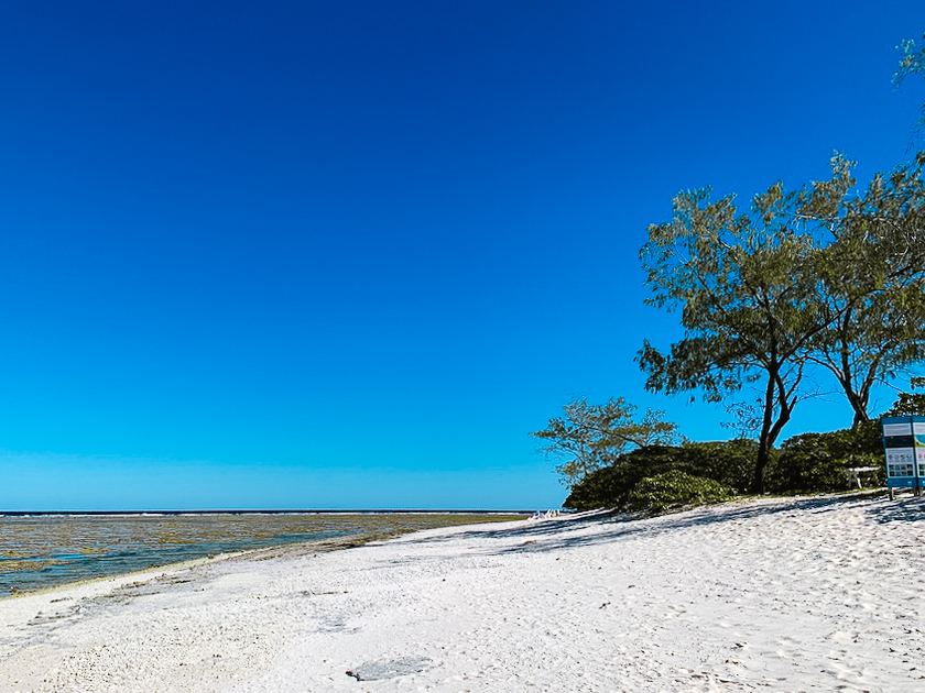 strand Lady Elliot Island