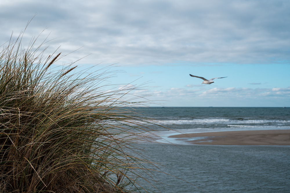 strand fietsen op texel