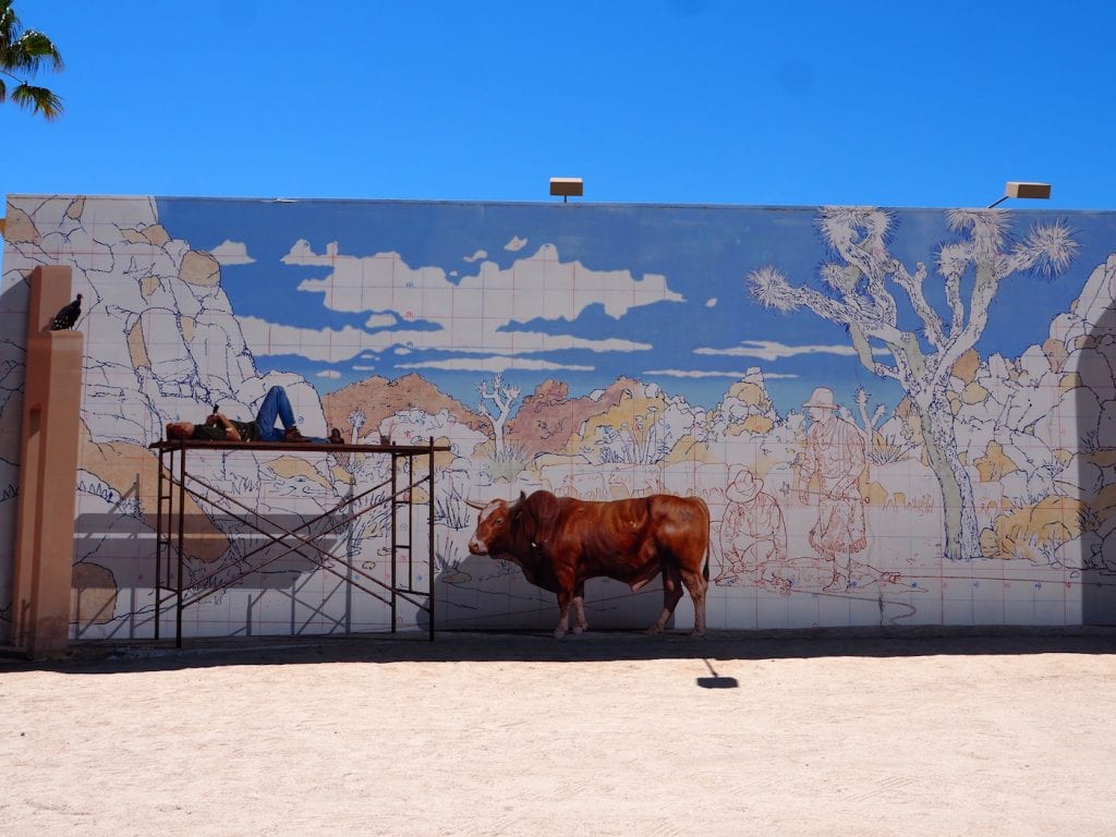 streetart in joshua tree twenty nine palms