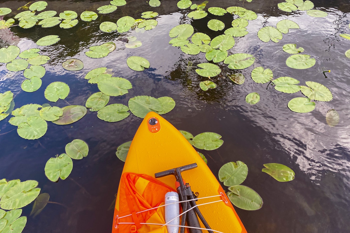 suppen in Utrecht, Loosdrechtse plassen