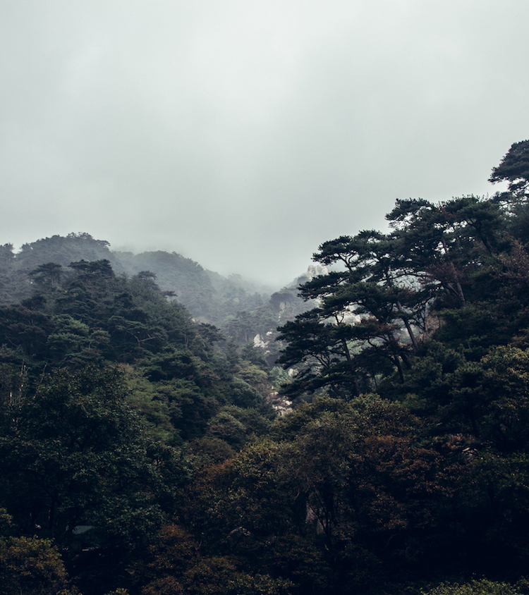 taishan natuur china heilige berg