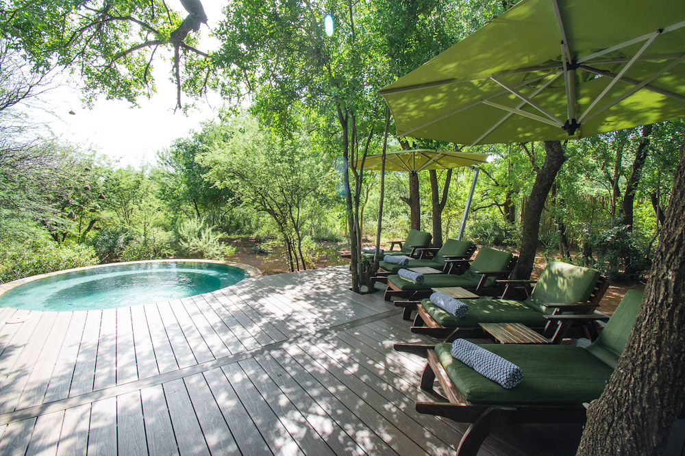 tambuti lodge zwembad pilanesberg