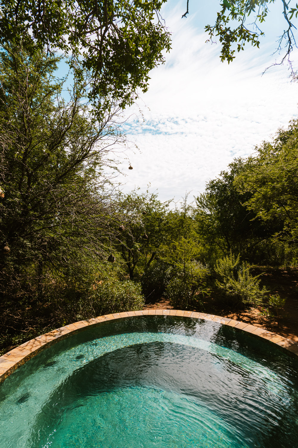 tambutti lodge Pilanesberg national park