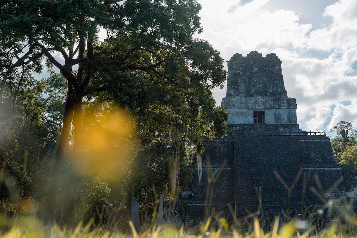 tikal tempel guatemala