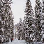 tirol oostenrijk Sneeuwwandelen