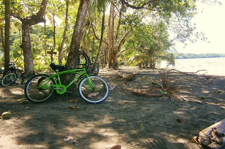 top 5 puerto viejo in costa rica