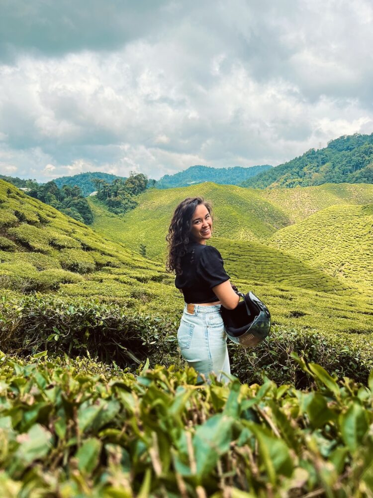 uitzicht Cameron Highlands