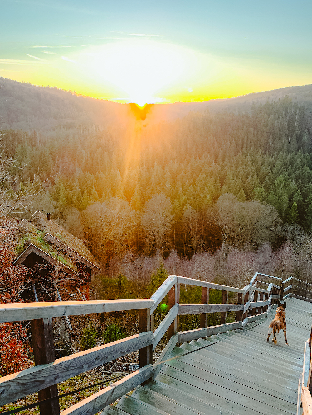 vakantiehuis Ardennen met hond, Rensiwez