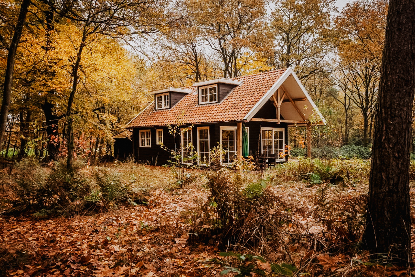 vakantiehuis twente Bos en Heide_