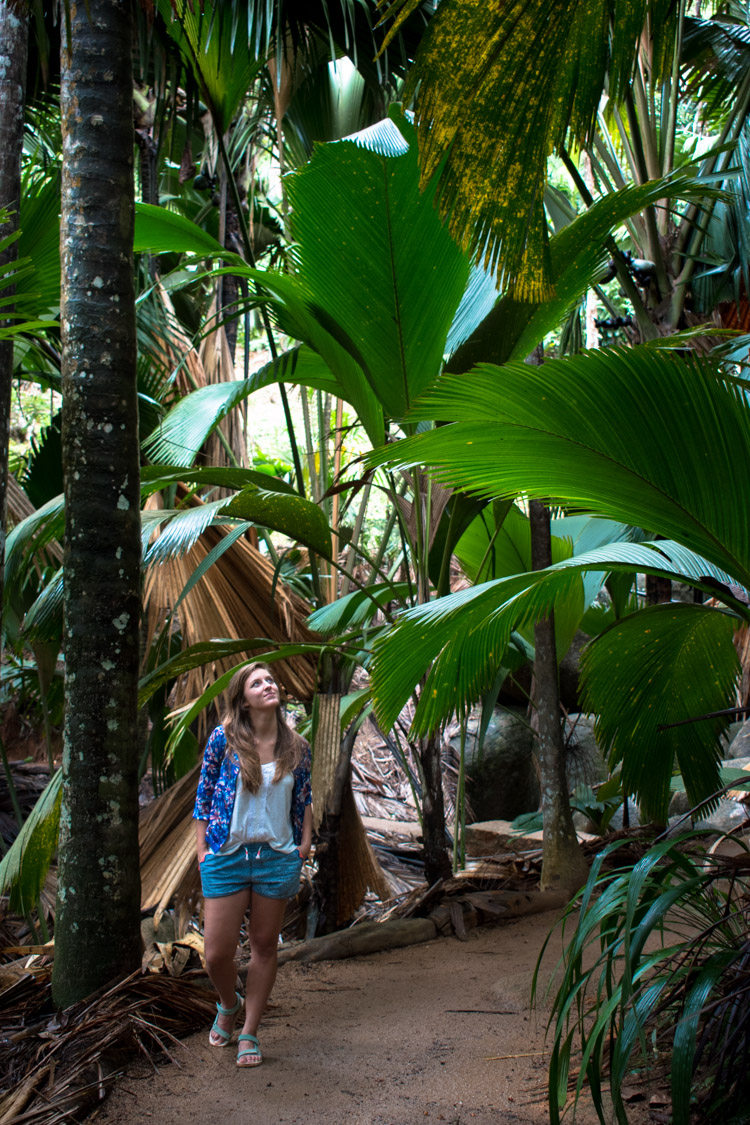 vallee de Mai korte hike praslin seychellen