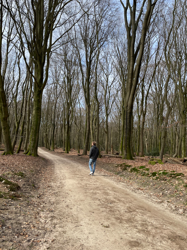 verrekijker testen bos