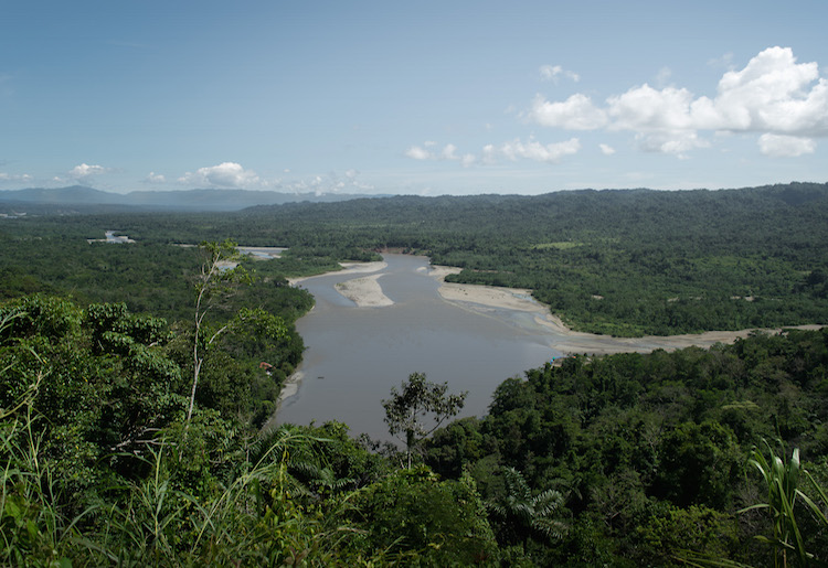 view over de manu jungle