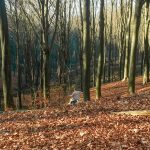 vlaamse ardennen in belgie