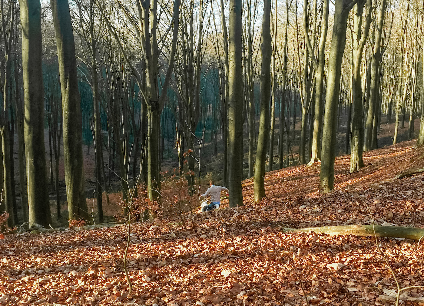 vlaamse ardennen in belgie