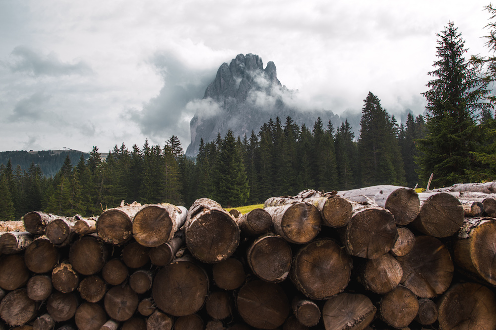 wandelen dolomieten Seiser Alm hout voorraad