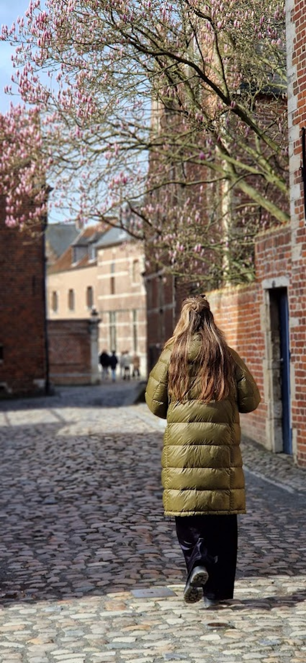 wandelen door leuven