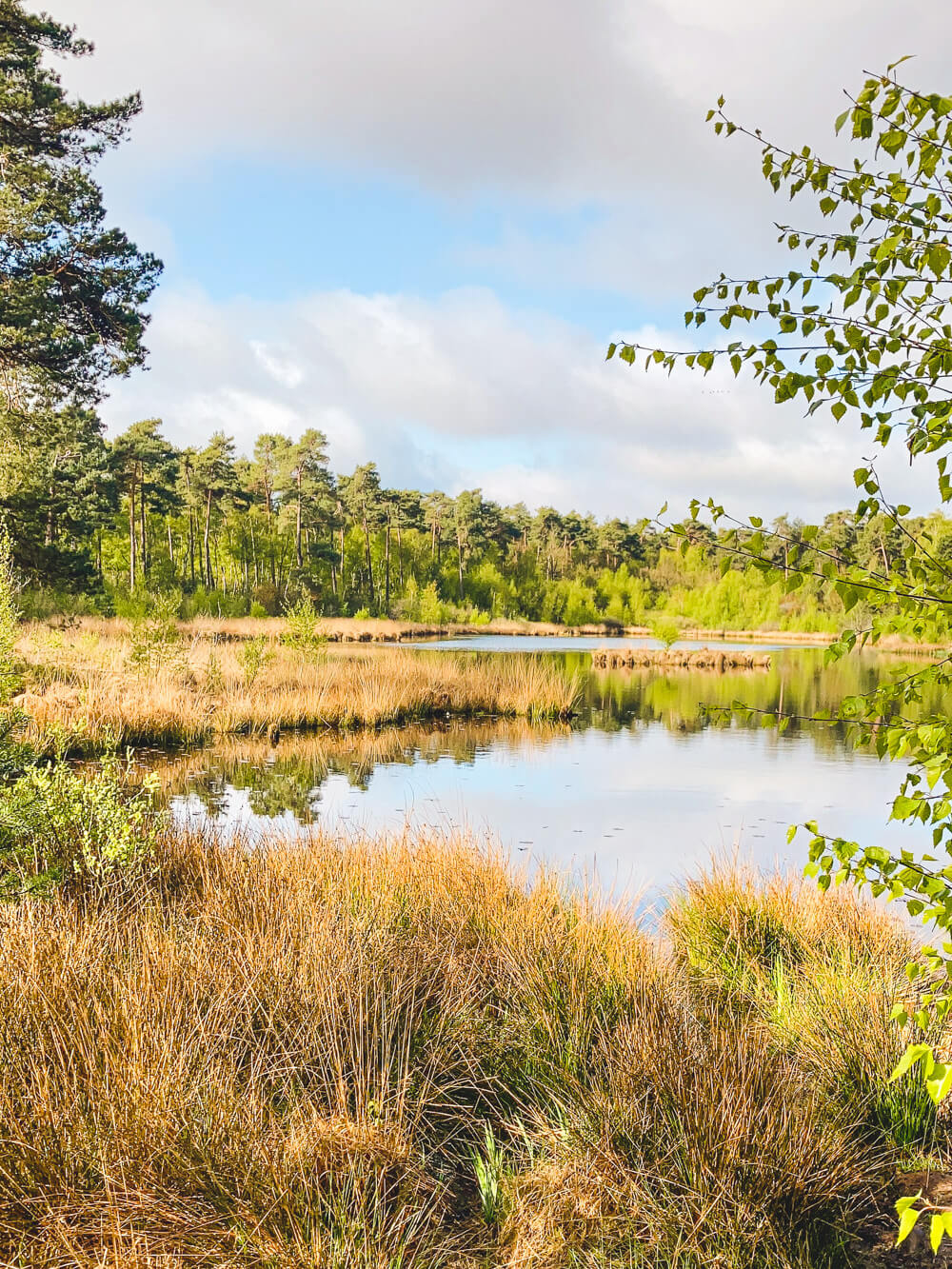 wandelen in Kampina