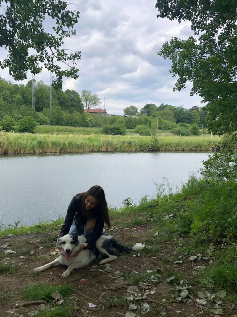 wandelen vlaamse ardennen