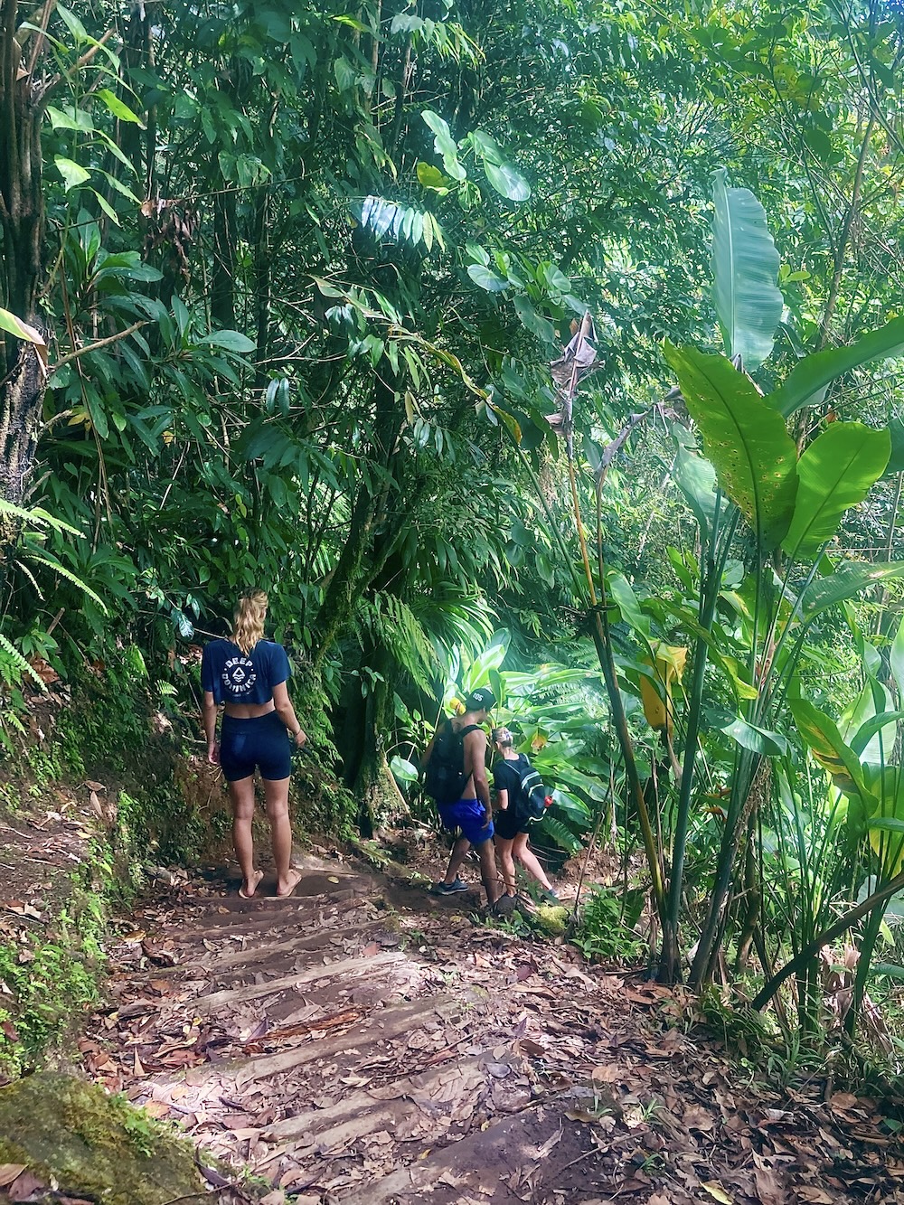 wandeling naar Middleham Falls Dominica