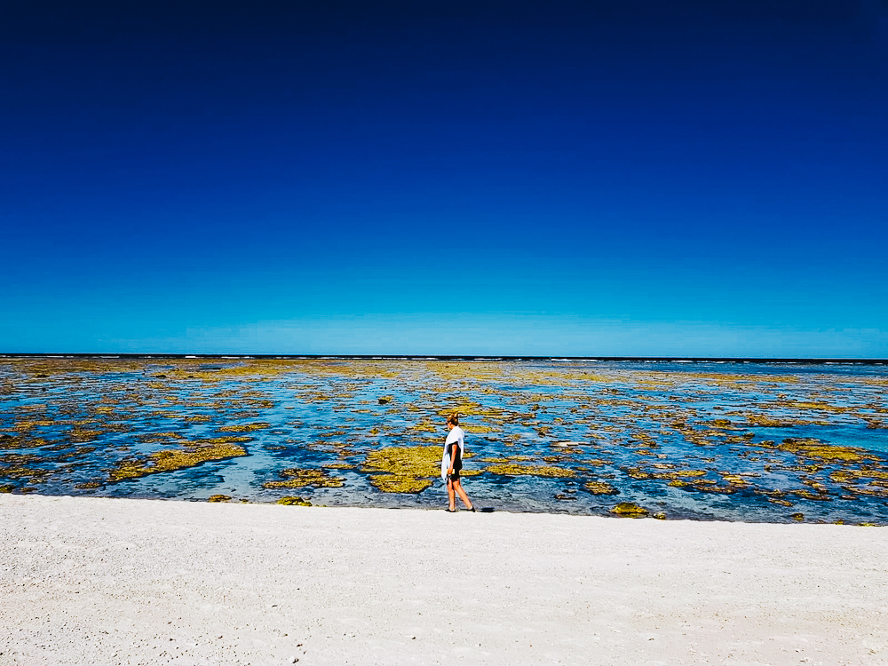 wandeling op Lady Elliot Island