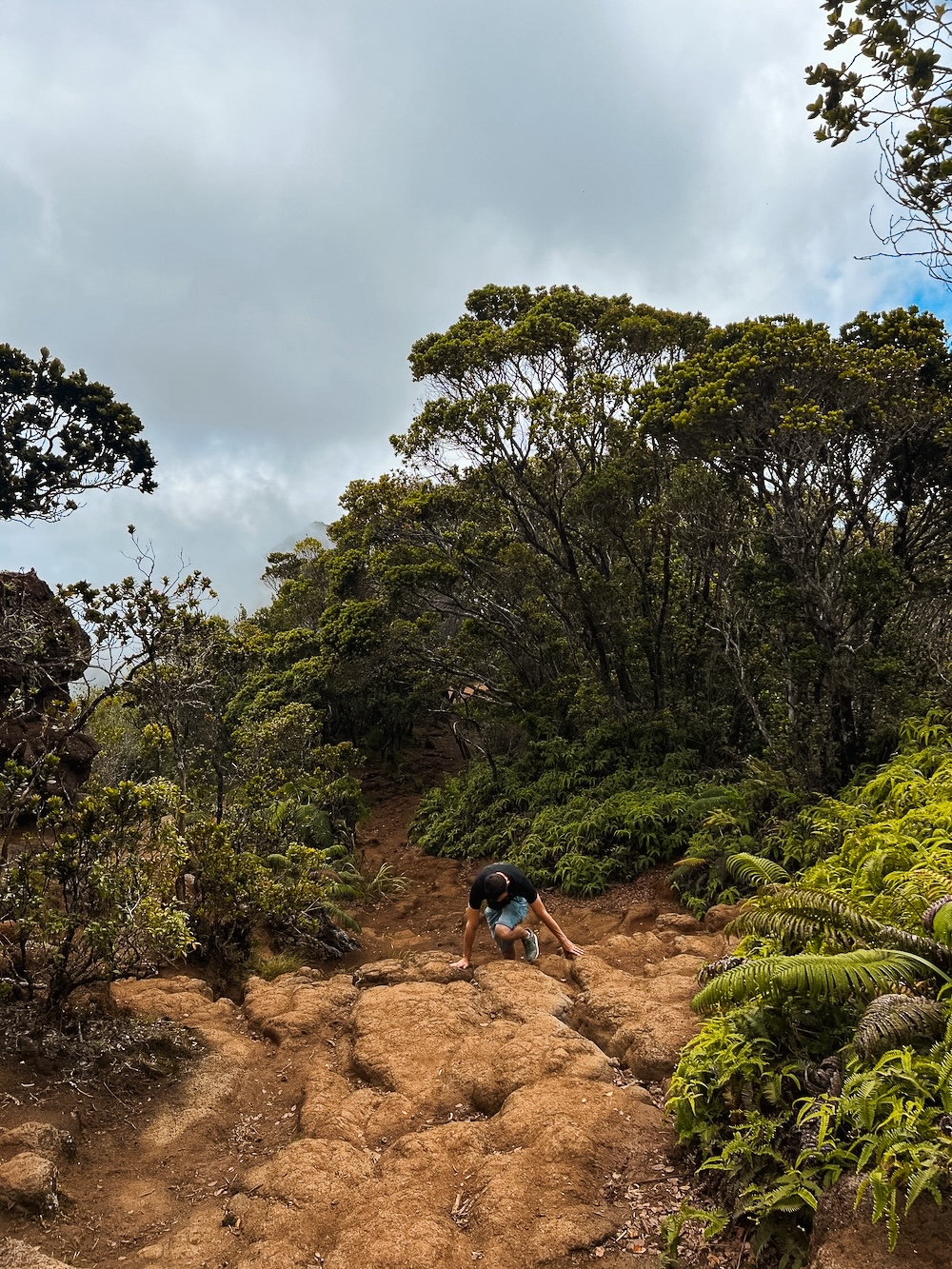 wandelpad Awa’awapuhi Trail