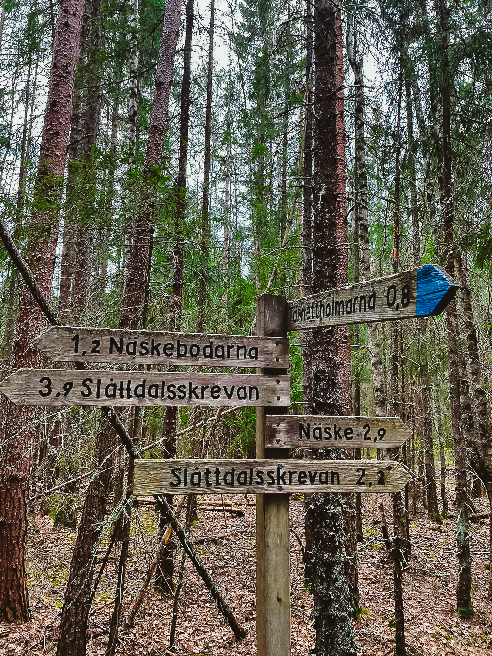 wandelroutes skuleskogen