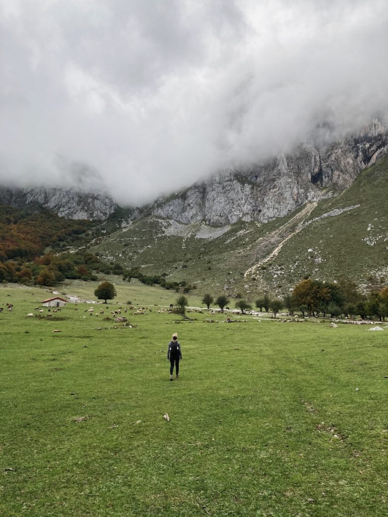 wandelvakantie in picos de europa