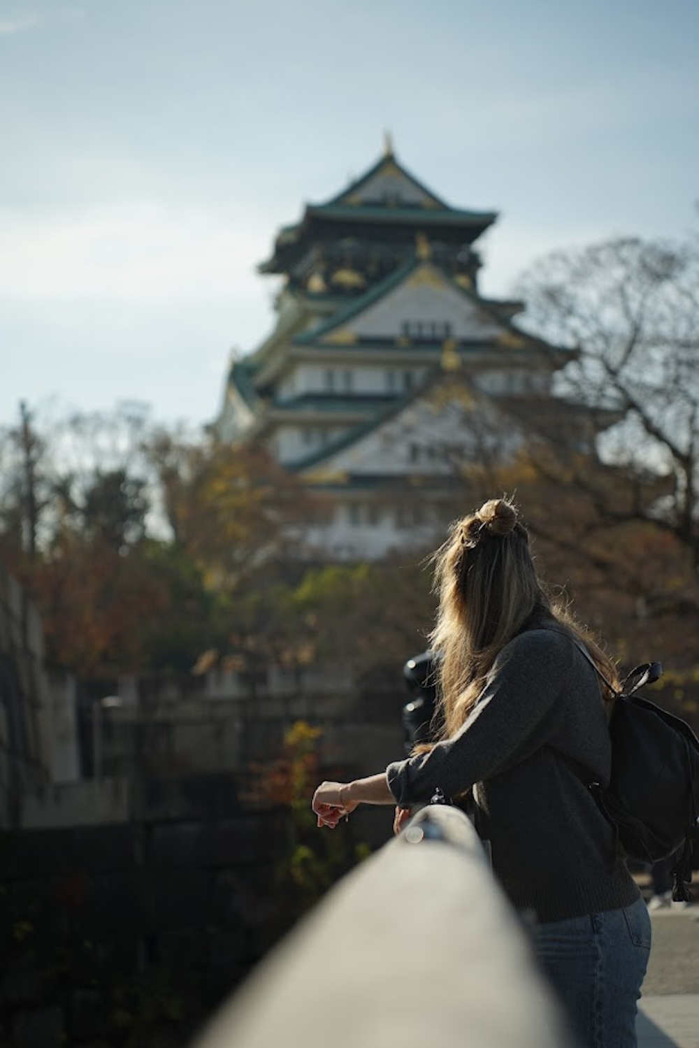 wat te doen Osaka, kasteel bekijken