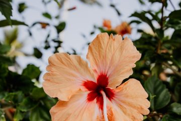 wat te doen in Zanzibar natuur