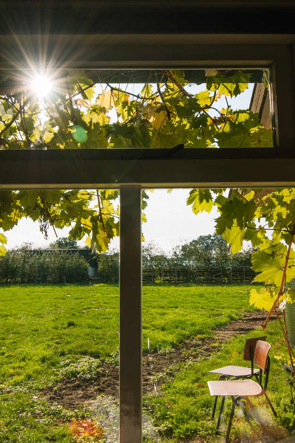 wat te doen in de Achterhoek wijngaard bezoeken