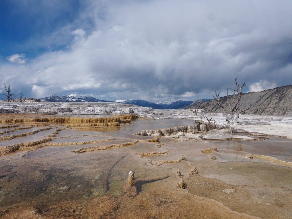 wat te doen in yellowstone Mammoth Hot Springs