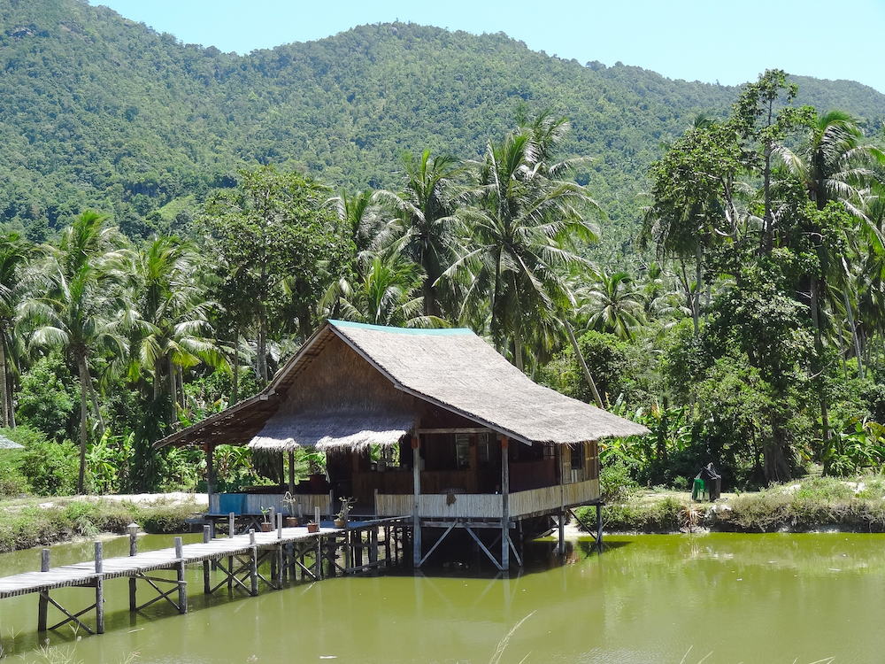 wat te doen op Koh Phangan Thailand