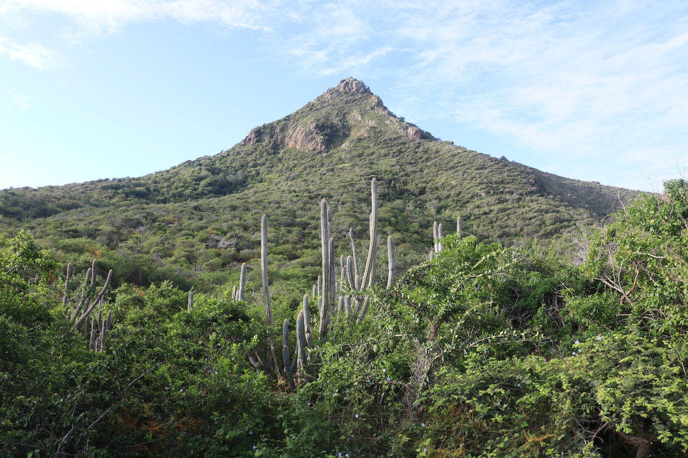 wat te doen op curacao Christoffelberg beklimmen