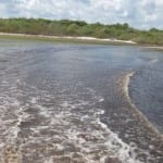 water jeep lencois maranhenses brazilie