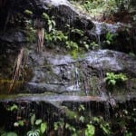 waterval blue mountains australie