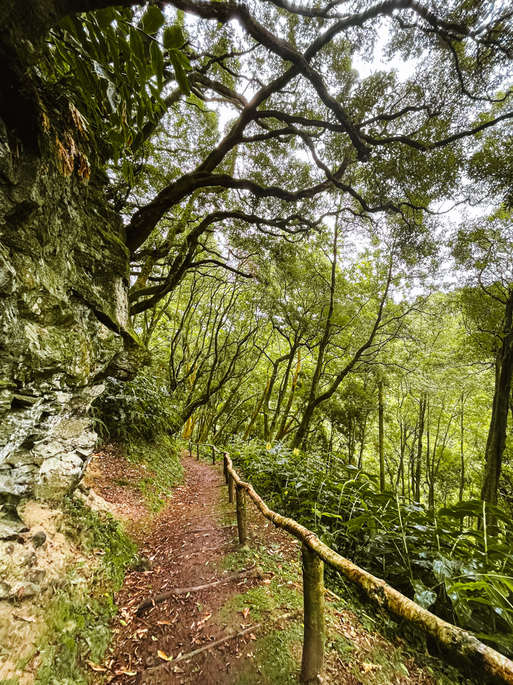 waterval pad sao miguel azoren