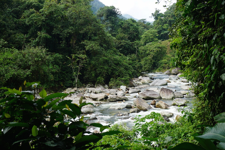 waterval tijdens hike naar verloren stad colombia