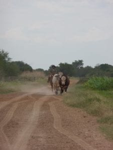 weg paraguay