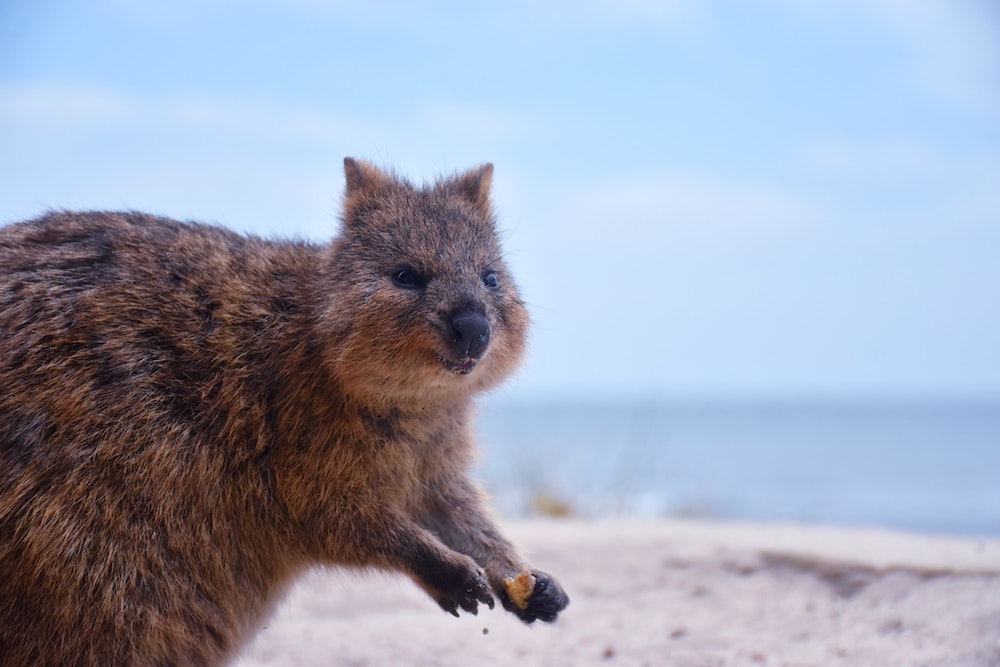 west australie rondreis