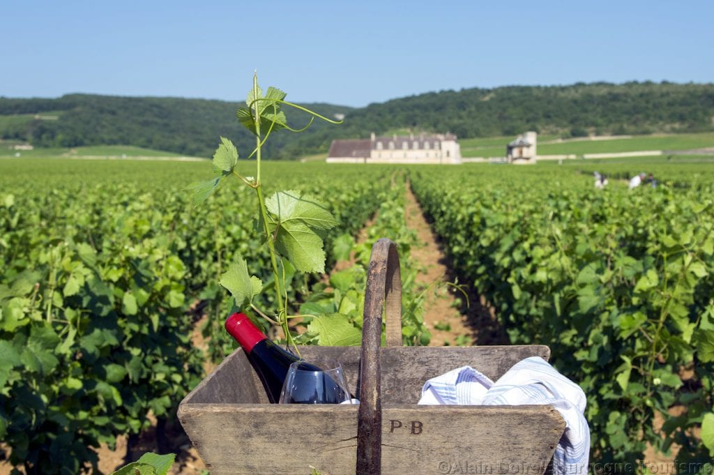 wijnvelden bourgogne frankrijk wijn