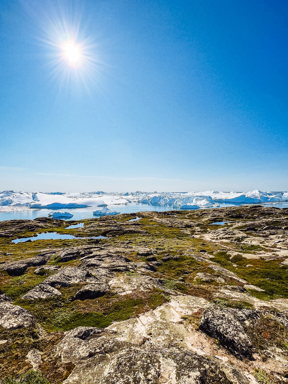 yellow trail, llulissat