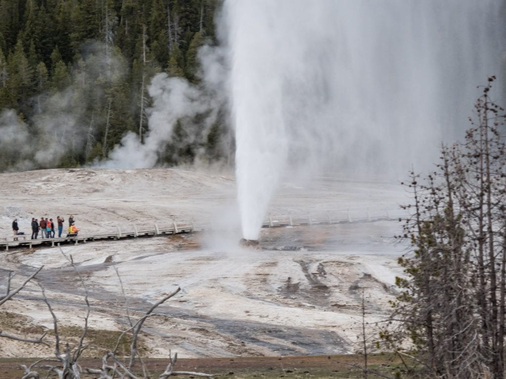 yellowstone national park geisers bezienswaardigheden