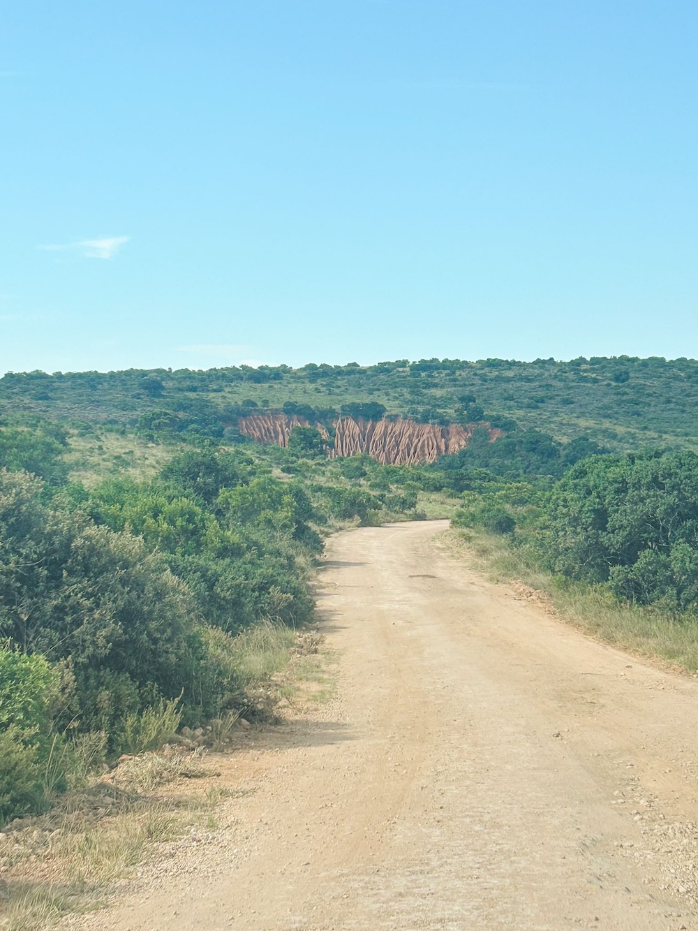 zandweg Addo Elephant Park