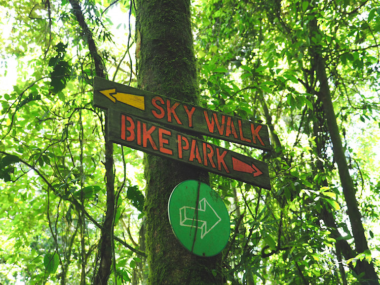 zip lining costa rica sky walk hike hangbruggen