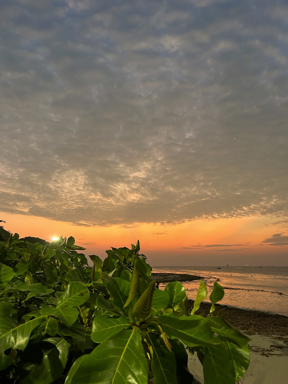 zonsondergang India