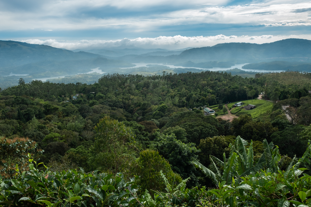 zuid india munnar uitzichten