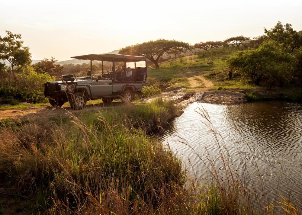 zulu rock lodge, game drive